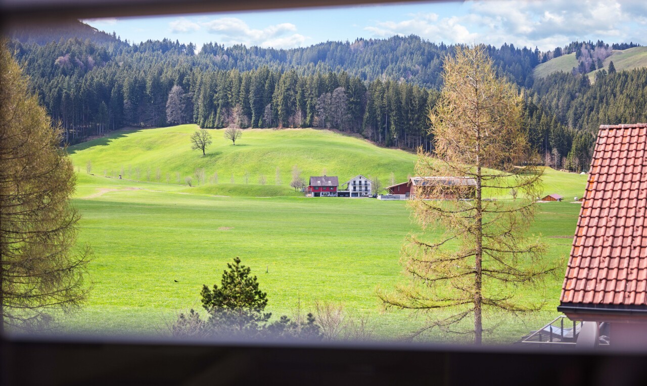 jardin avec vue sur la forêt, forest view, day time, vue sur le terrain de golf, et golf course view