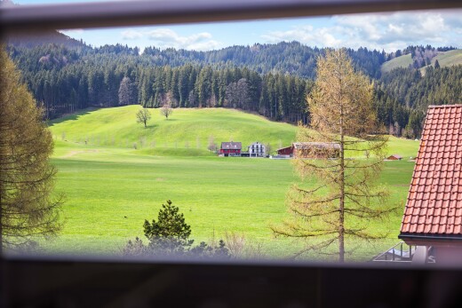 jardin avec vue sur la forêt, forest view, day time, vue sur le terrain de golf, et golf course view