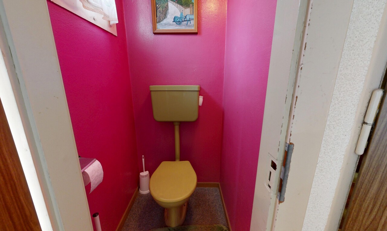 salle de bains avec toilette, carpet, moquette, inside property, et drywall