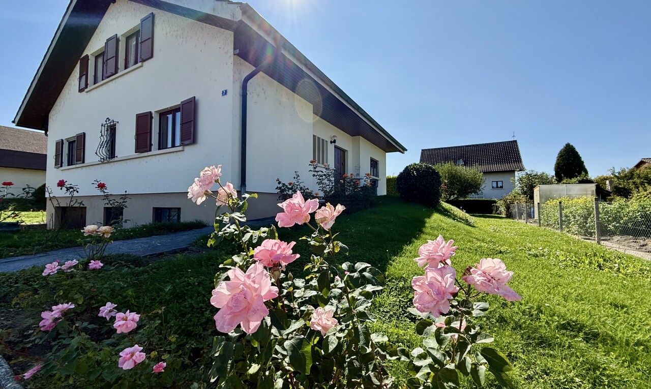 façade avec pelouse, clôture, property visible, bardage en stuc, et day time