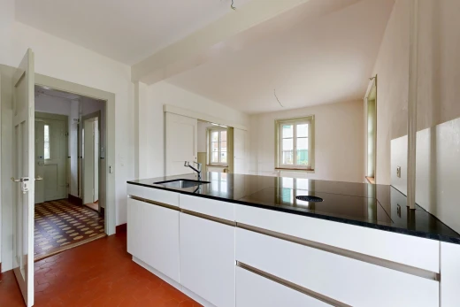 kitchen featuring white cabinets, a peninsula, and modern cabinets