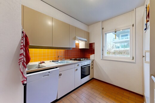 küche mit geschirrspülmaschine, light countertops, arbeitsplatten, light floor, und ofen