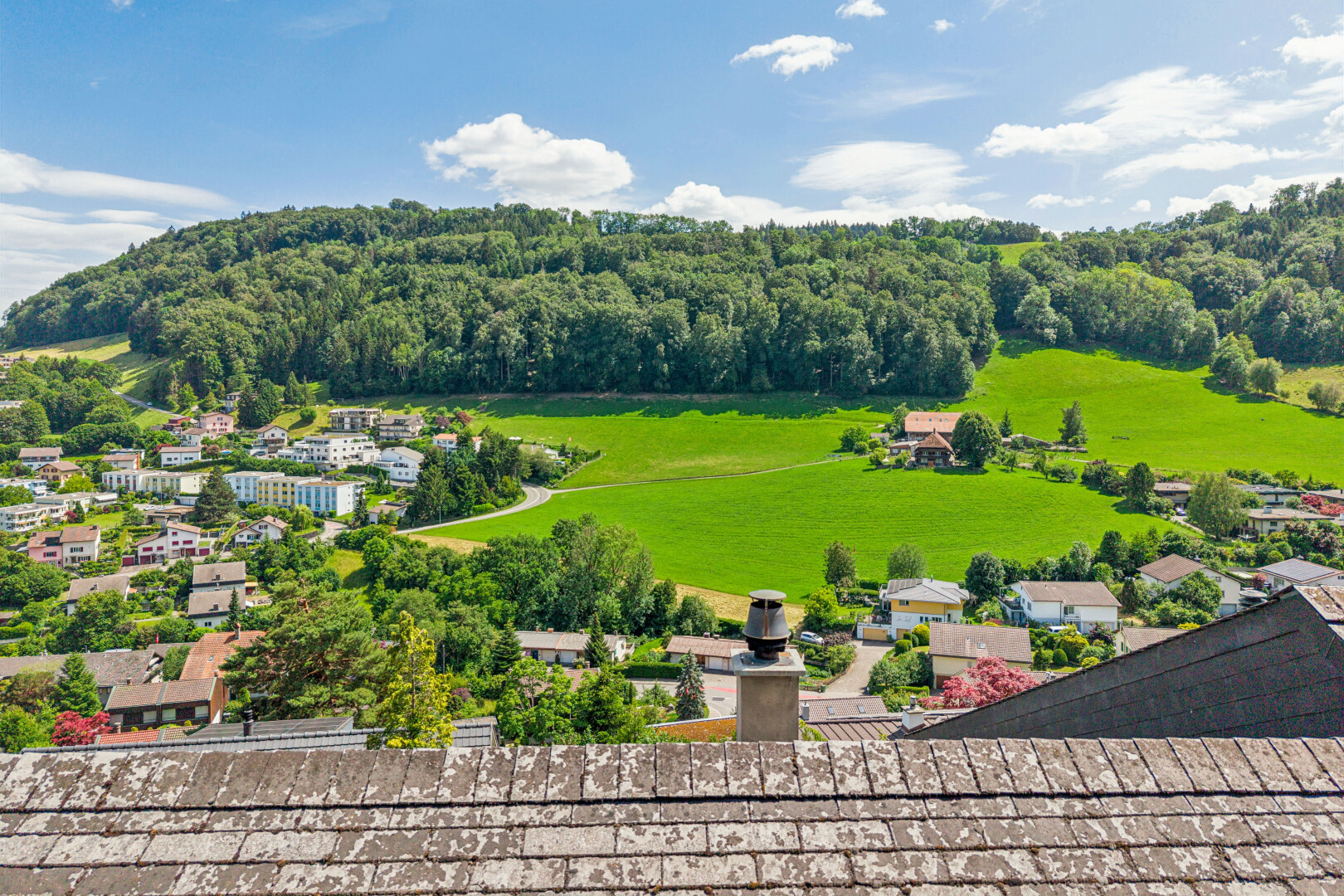 mountain view featuring a forest