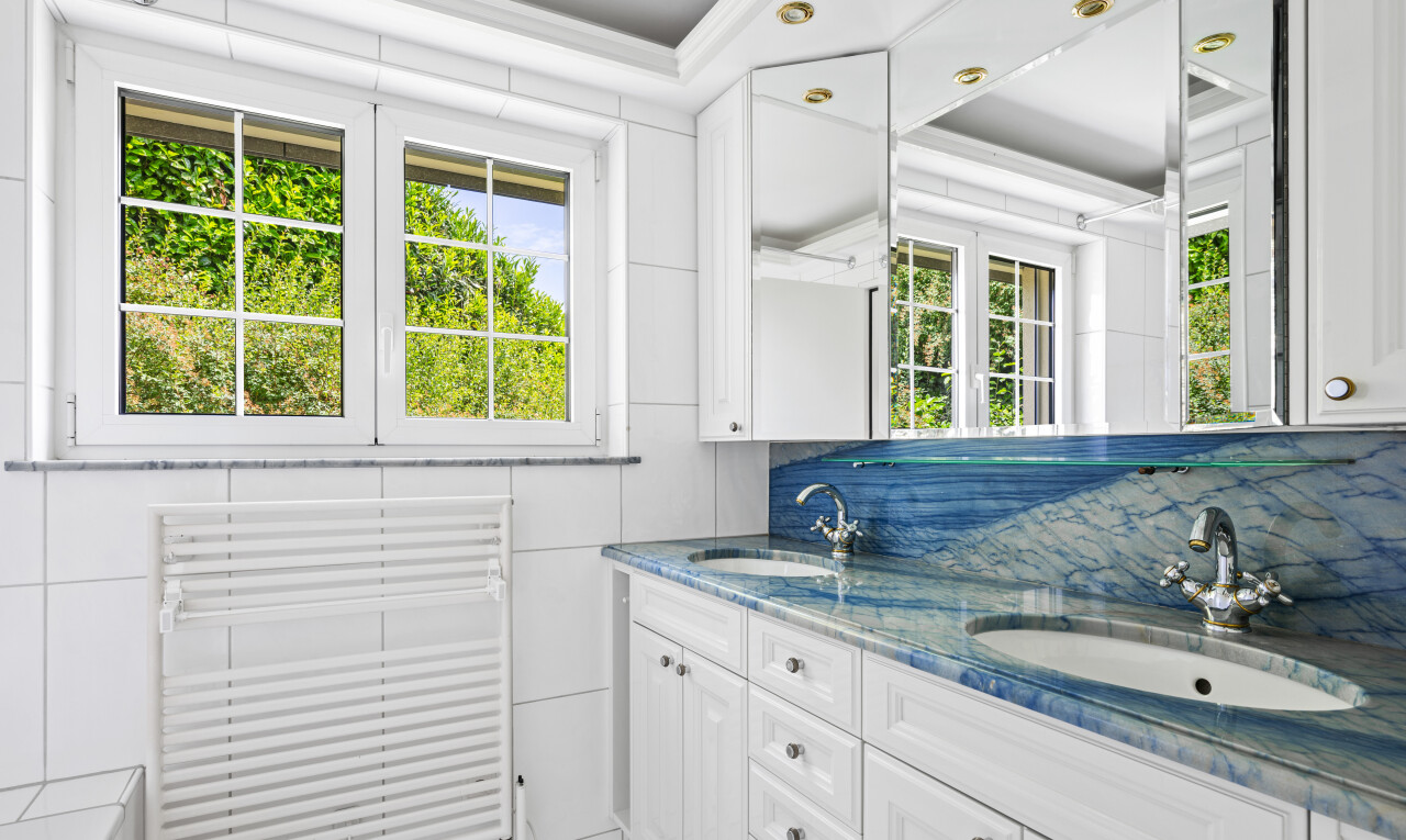 bathroom featuring radiator, double vanity, healthy amount of natural light, and crown molding