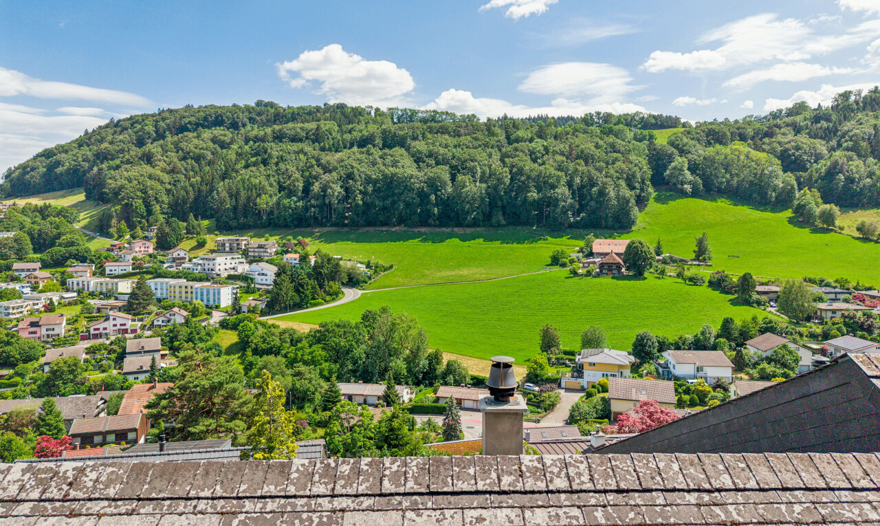 mountain view featuring a forest
