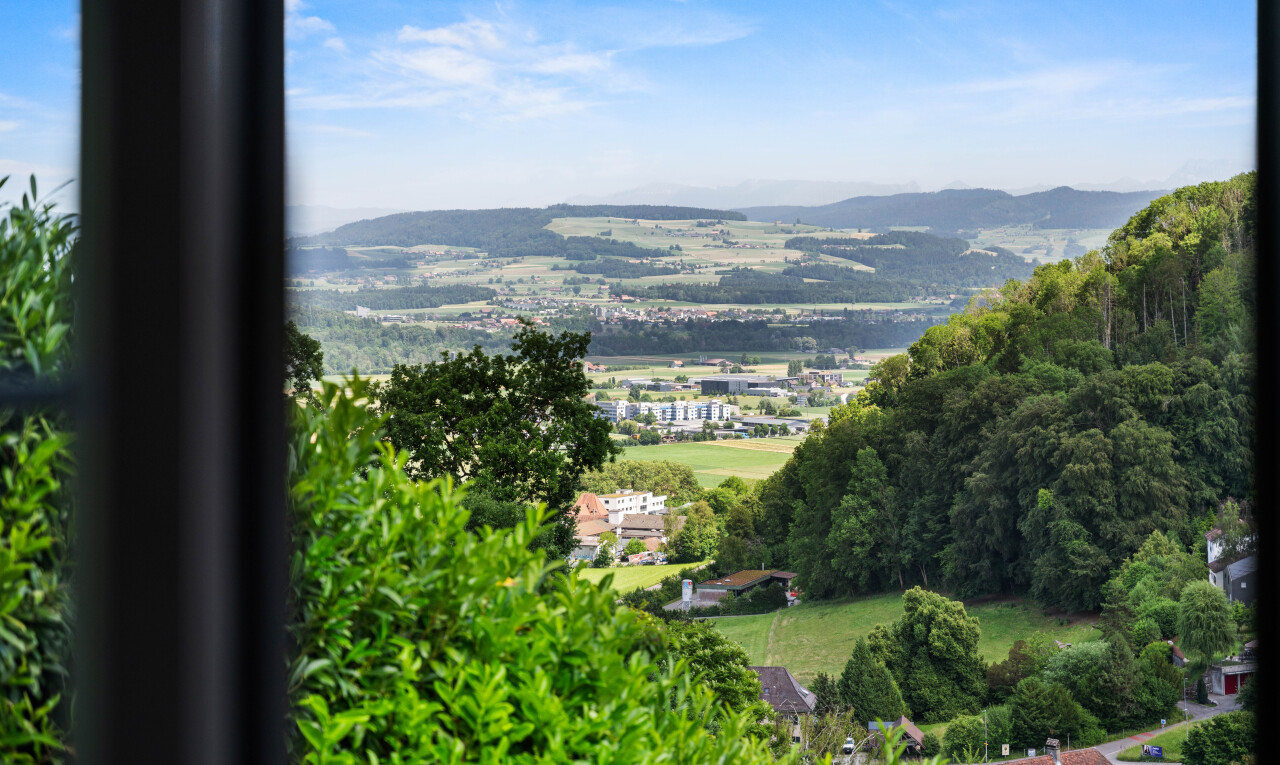mountain view