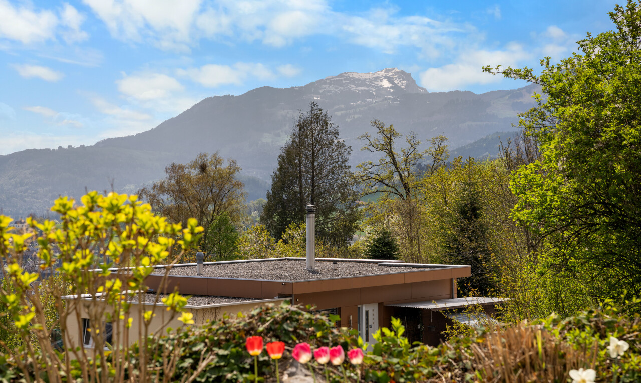 vue sur la montagne avec mountain view, vue sur la montagne, et day time