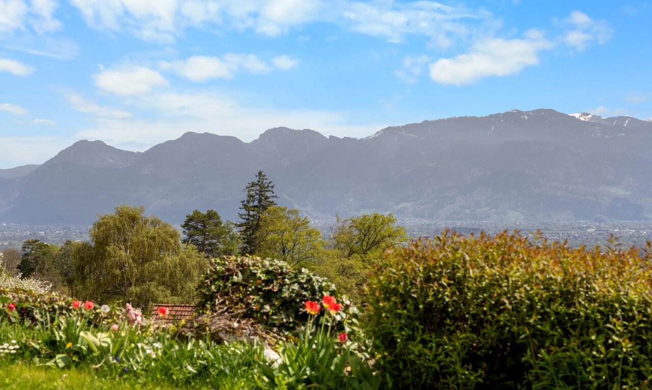 vue sur la montagne avec mountain view, vue sur la montagne, et day time