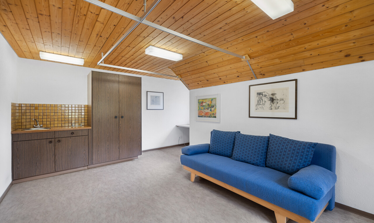 wohnzimmer mit inside property, wood ceiling, holzdecke, drywall, und gipskartonwand