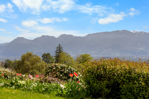 vue sur la montagne avec mountain view, vue sur la montagne, et day time