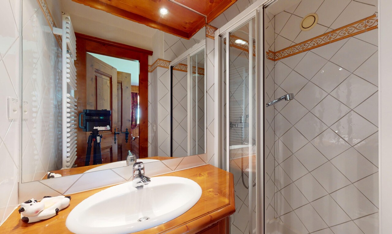 salle de bains avec évier, inside property, lavabo (ou coiffeuse selon le contexte), miroir, et douche
