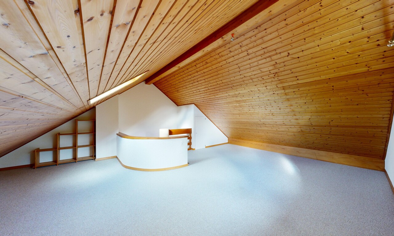 leerer raum mit carpet, teppich, vaulted ceiling, dachschräge, und cathedral ceiling