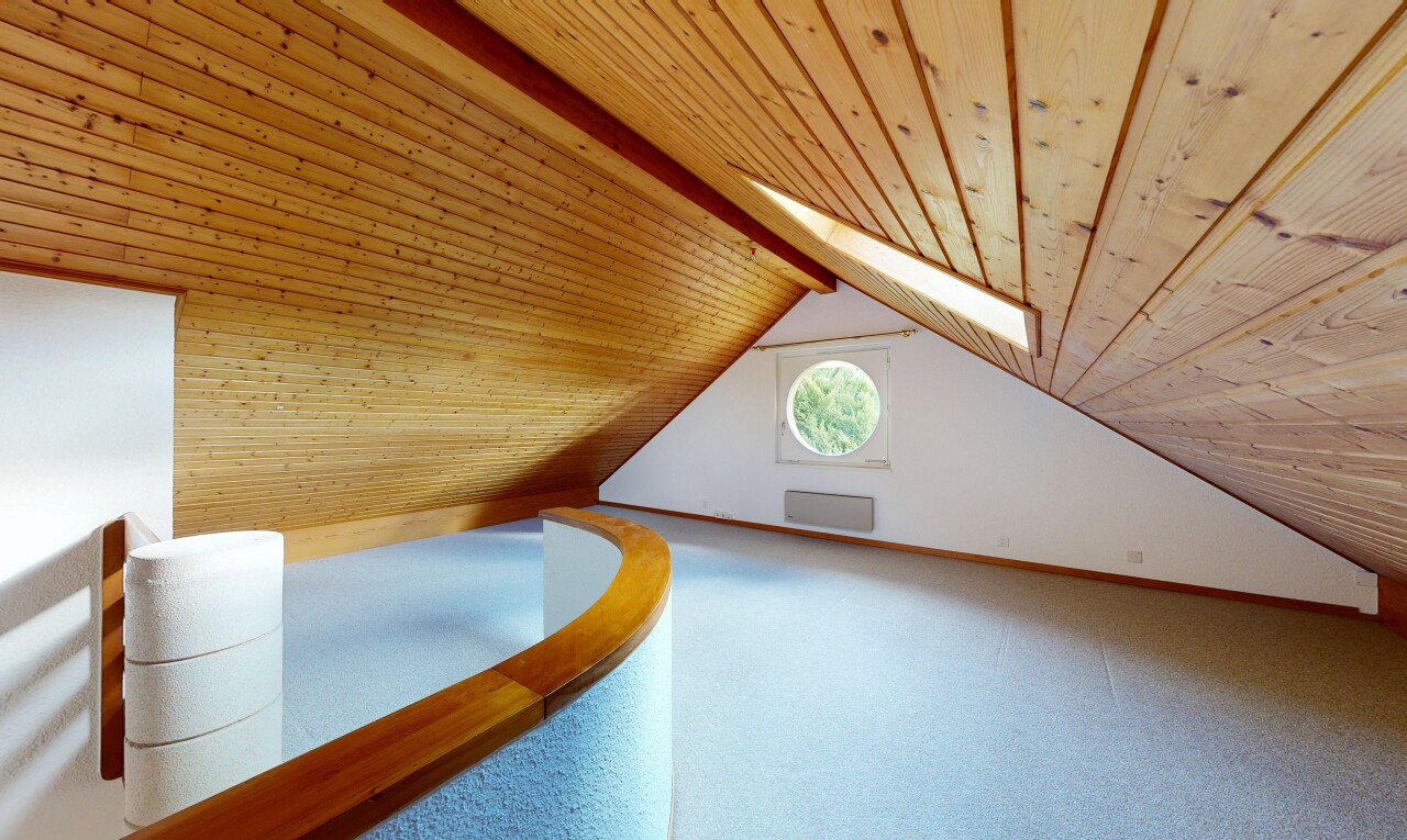 einzelheiten mit ceiling, cathedral ceiling, kathedralendecke, window, und interior