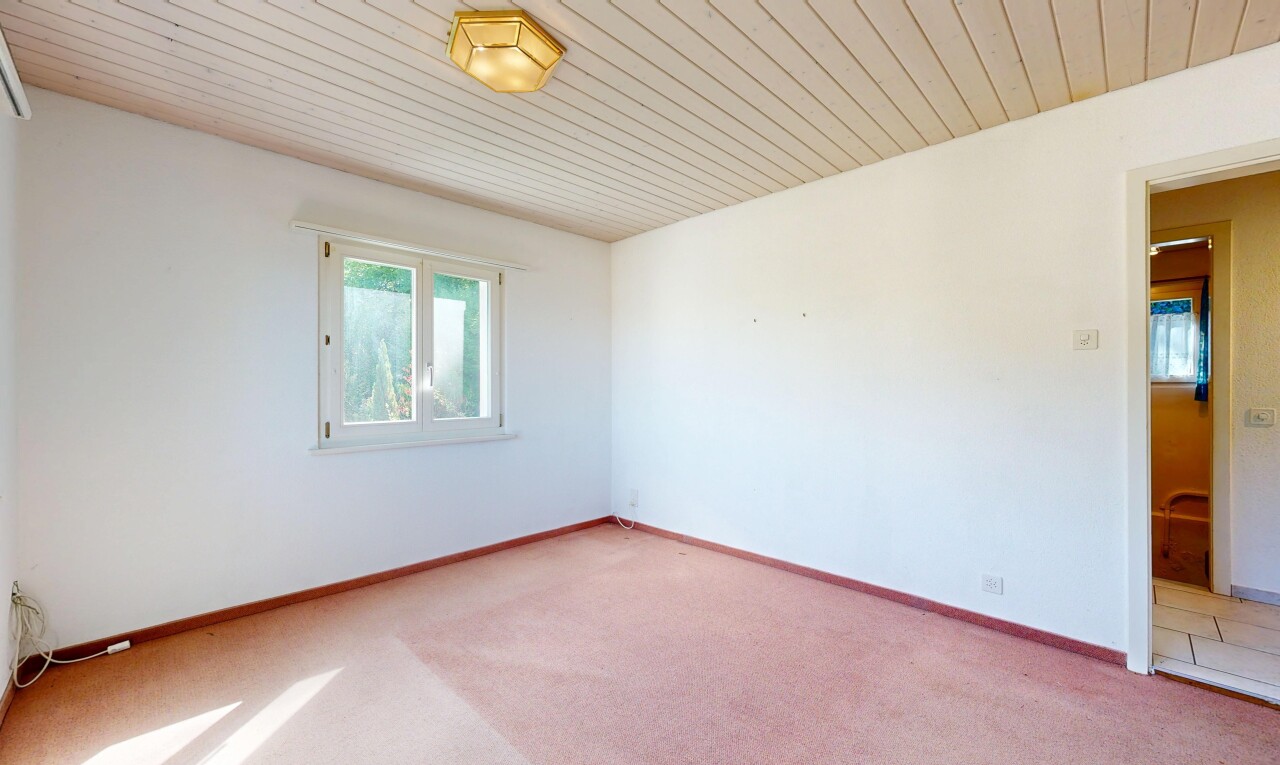 leerer raum mit holzdecke, wood ceiling, teppich, carpet, und gipskartonwand