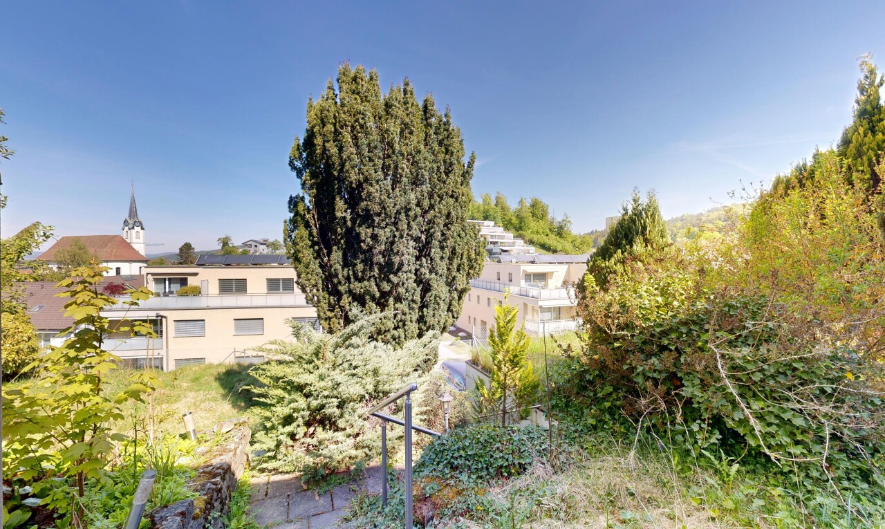 garten mit day time