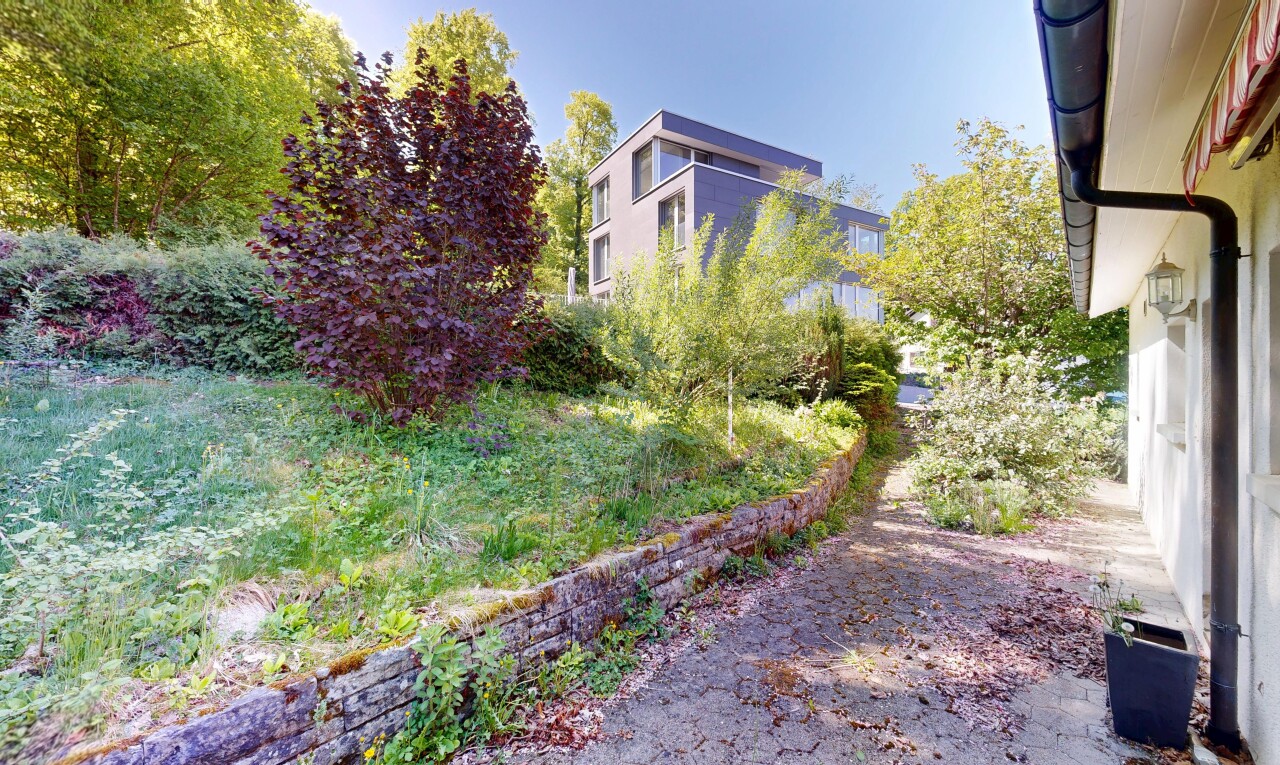 garten mit day time