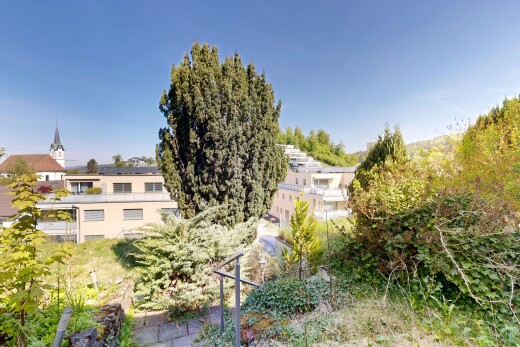 garten mit day time