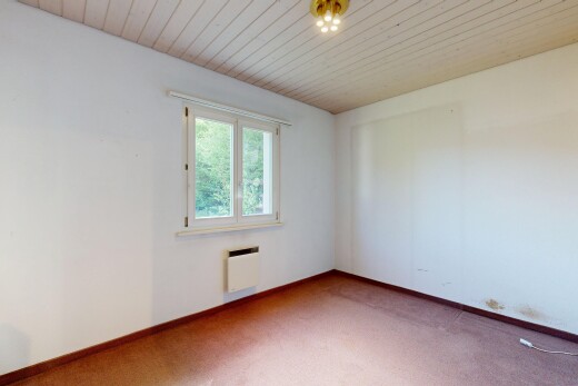 pièce vide avec drywall, cloison sèche, natural light, lumière naturelle, et carpet