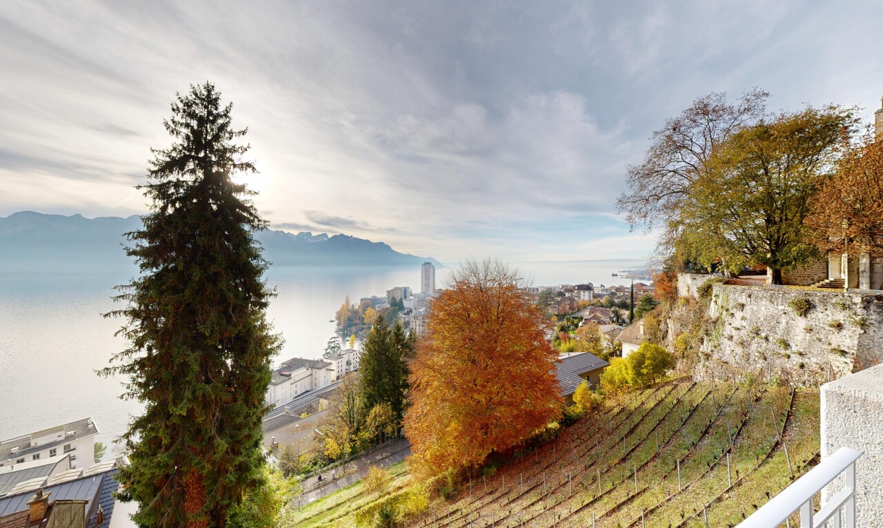 vue sur la montagne