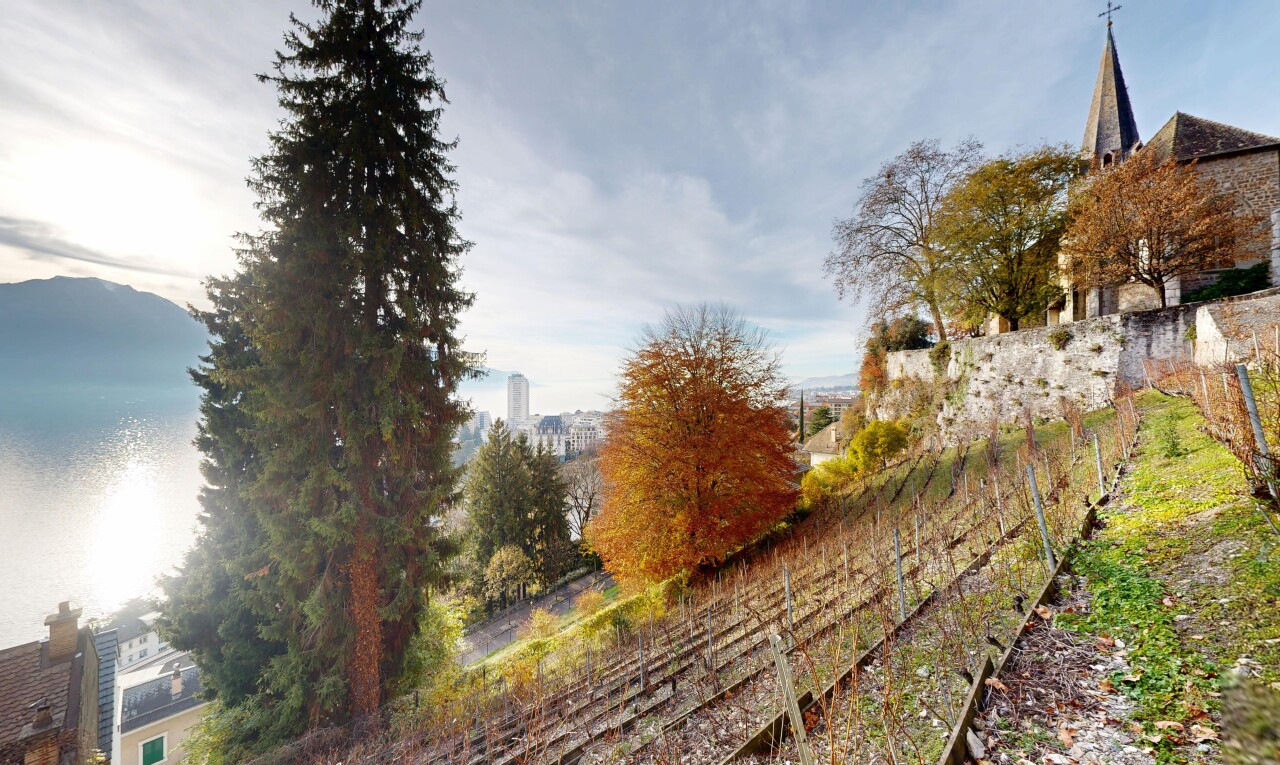 jardin avec clôture
