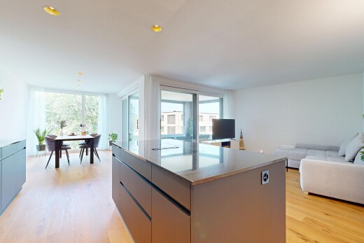 küche mit öffnet sich zum wohnraum, opens to living area, light floor, drywall, und gipskartonwand
