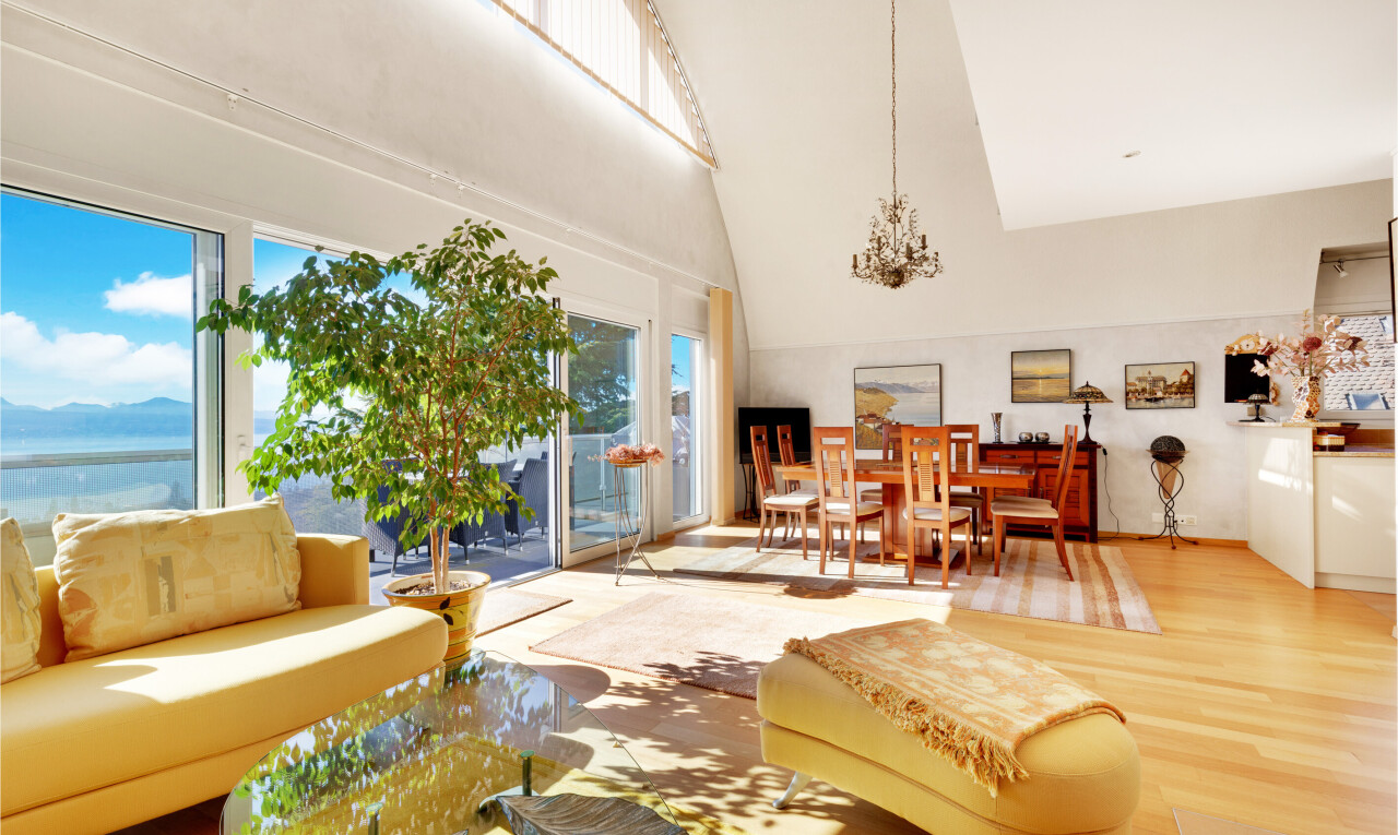 salon / salle à manger avec wood finish floor, sol en finition bois, inside property, high ceiling, et plafond haut