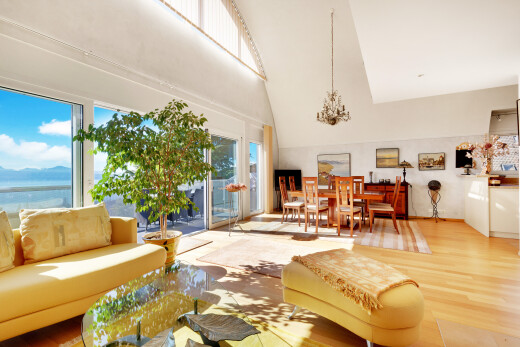 salon / salle à manger avec wood finish floor, sol en finition bois, inside property, high ceiling, et plafond haut