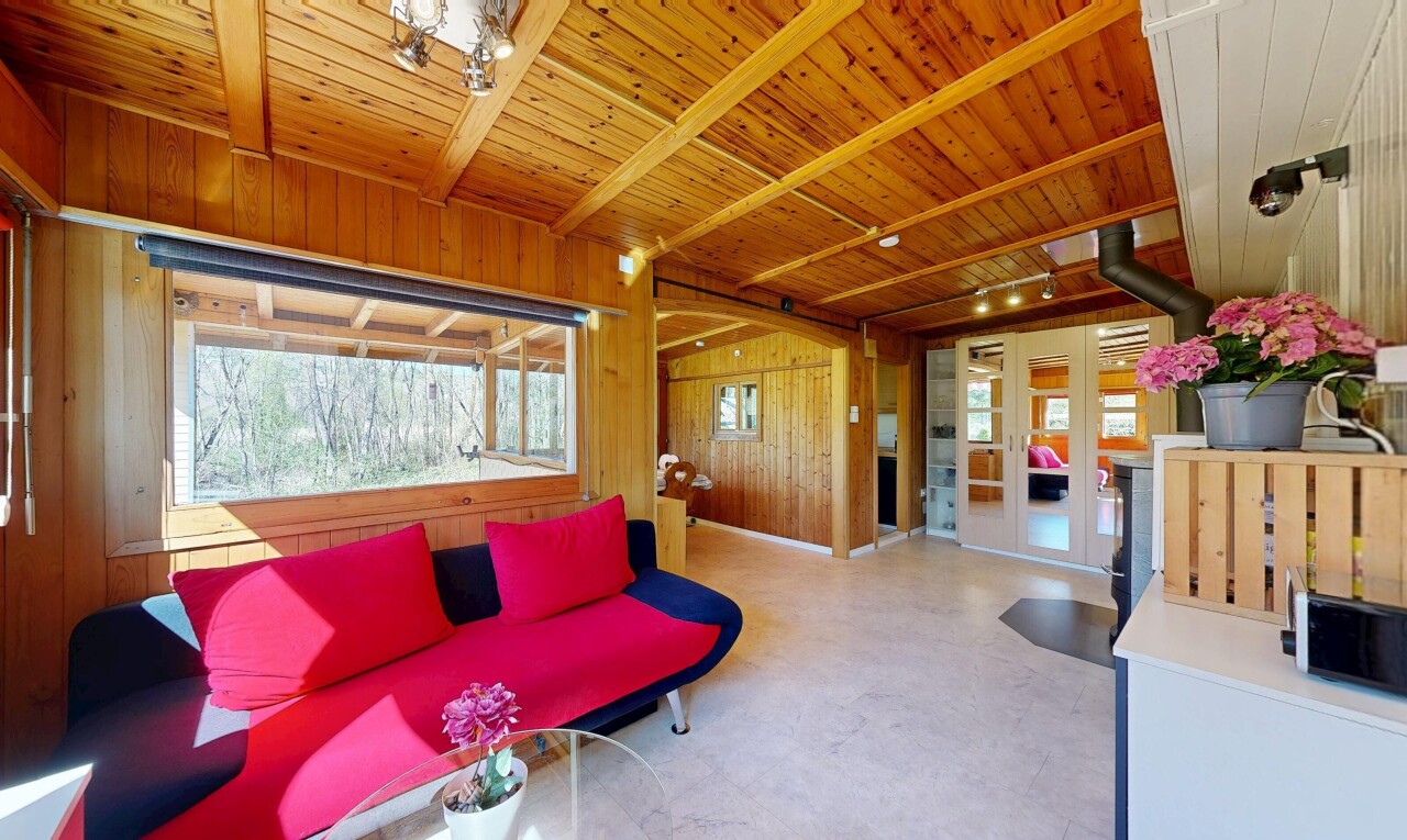 salon avec mur en bois, wood wall, plafond en bois, wood ceiling, et lumière naturelle