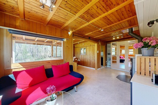 salon avec mur en bois, wood wall, plafond en bois, wood ceiling, et lumière naturelle