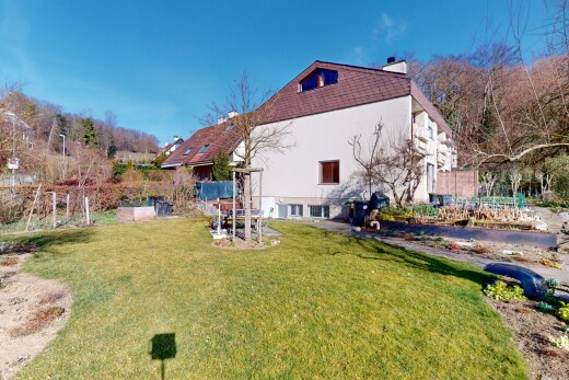 außenansicht mit schornstein und rasen