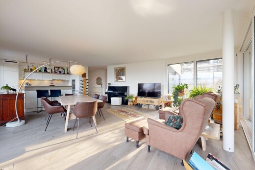 salon / salle à manger avec télévision, inside property, lumière naturelle, natural light, et cloison sèche