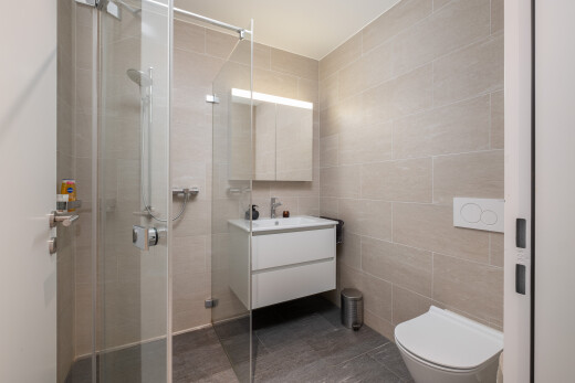 bad mit tile wall, fliesenwand, schminktisch, komplettes badezimmer, und dusche