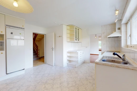 küche mit schränke mit glastüren, waschbecken, dunstabzugshaube, arbeitsplatten, und kühlschrank