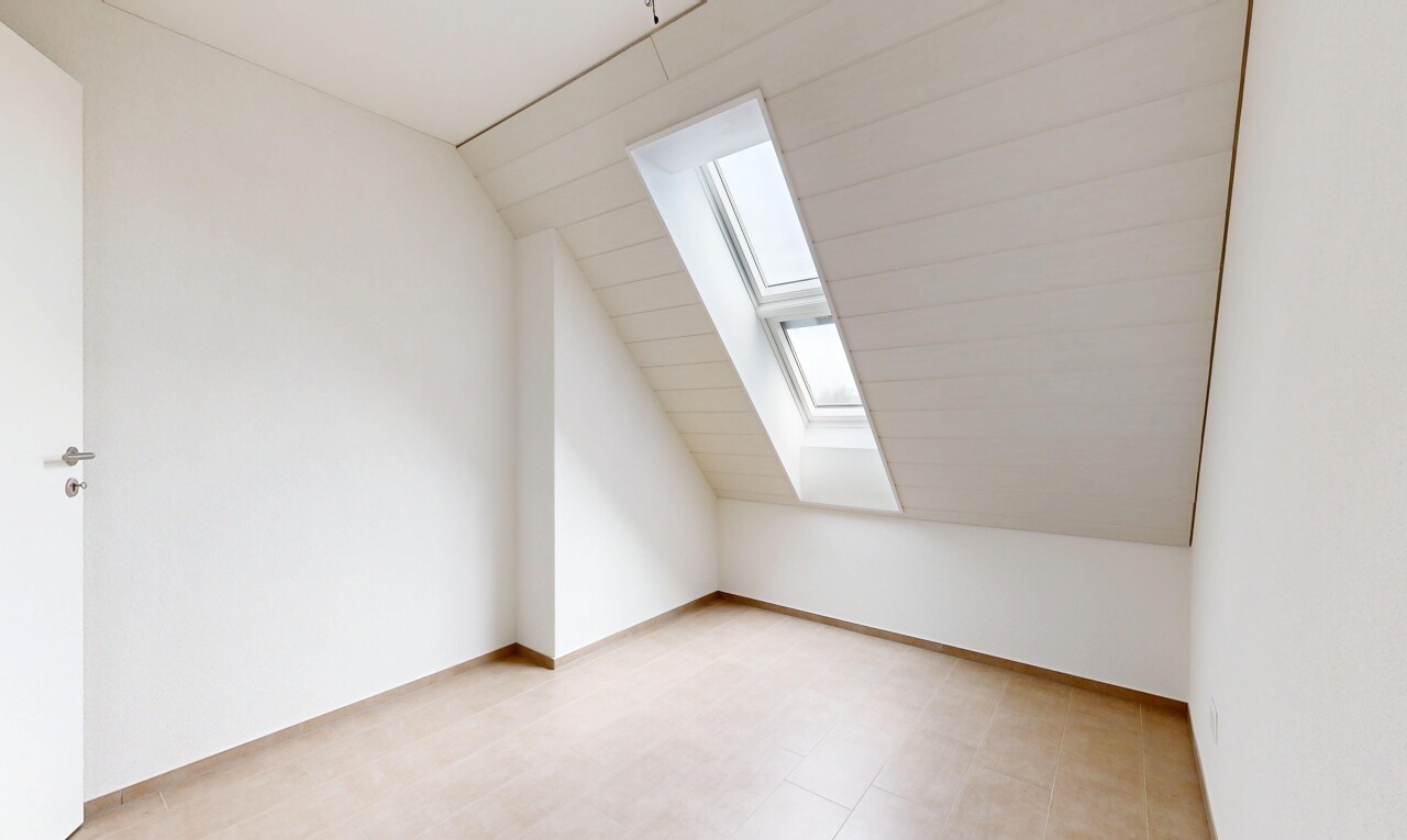 leerer raum mit dachschräge, vaulted ceiling, dachfenster, natürliches licht, und natural light