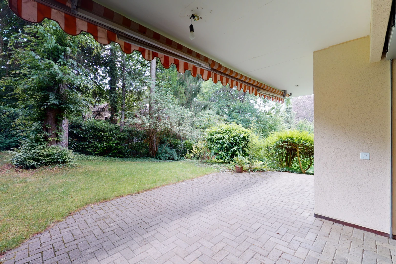 espace extérieur avec patio et pelouse