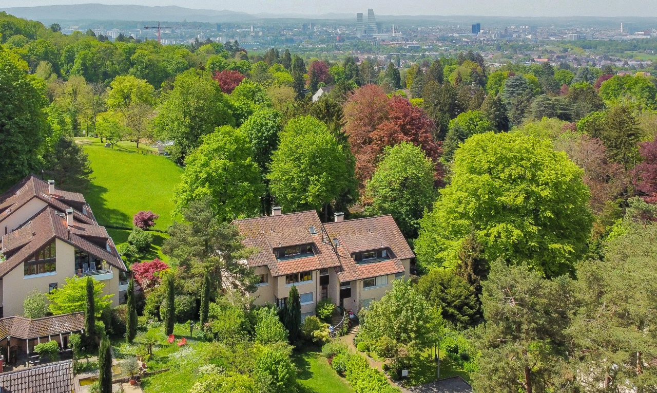 façade avec vue sur la forêt