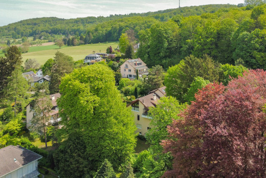 blick auf die berge mit waldblick