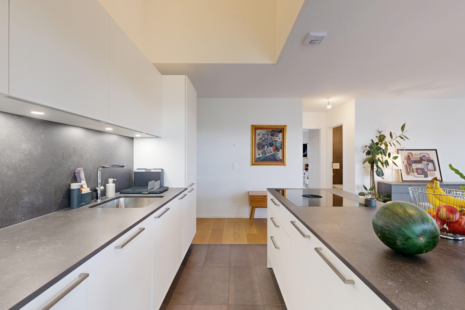 cuisine avec flat panel cabinets, armoires à panneau plat, évier, drywall, et cloison sèche