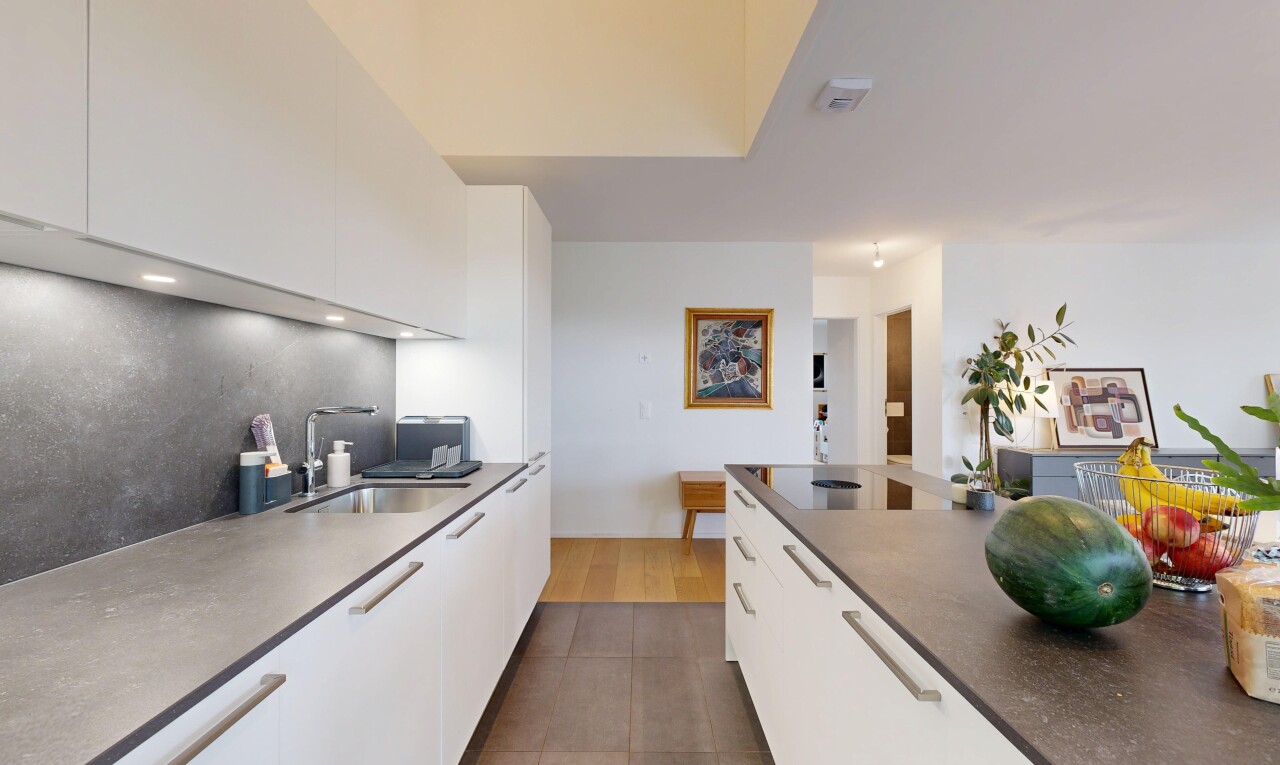 cuisine avec flat panel cabinets, armoires à panneau plat, évier, drywall, et cloison sèche