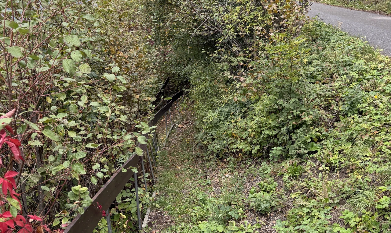 jardin avec unknown