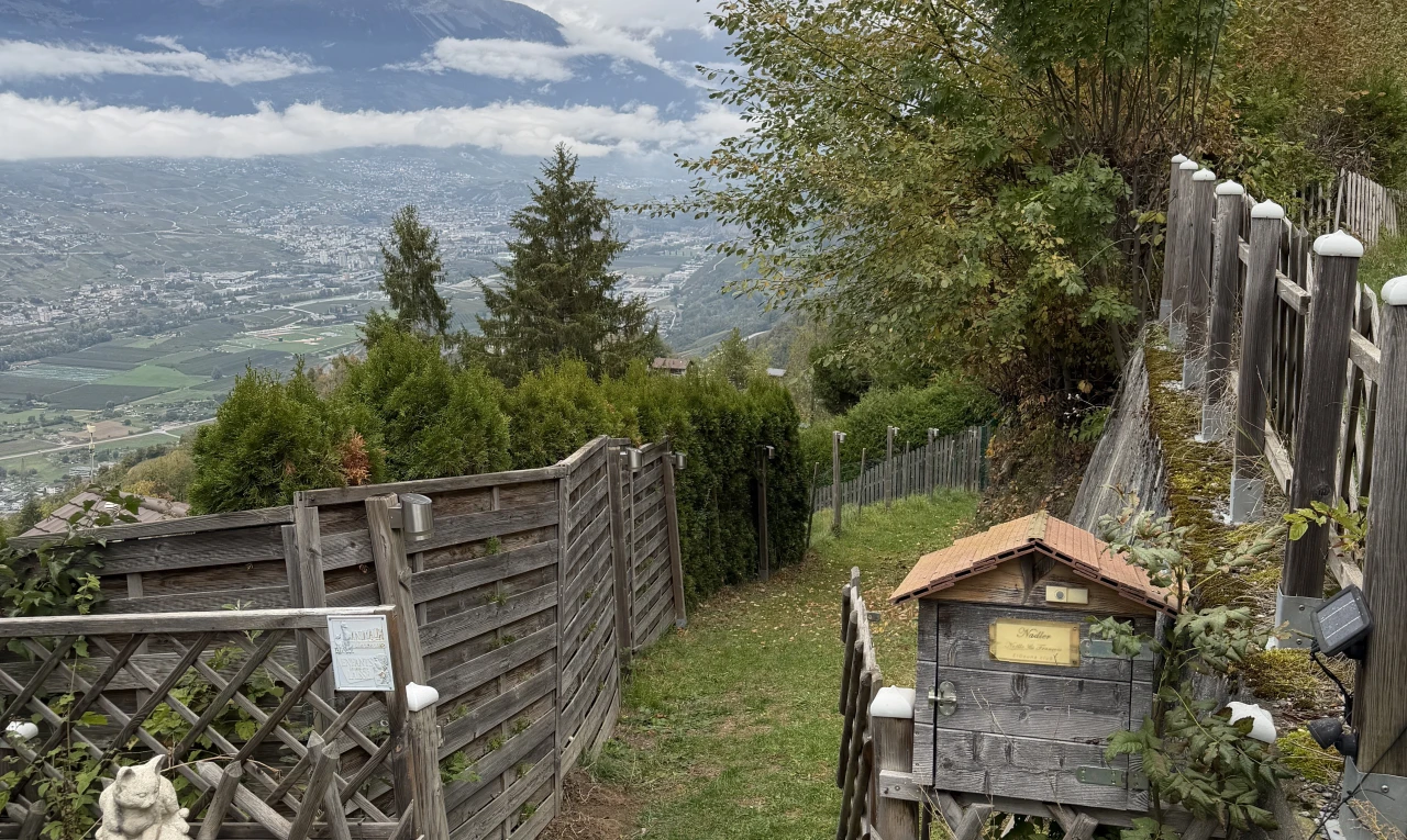 jardin avec clôture et from property