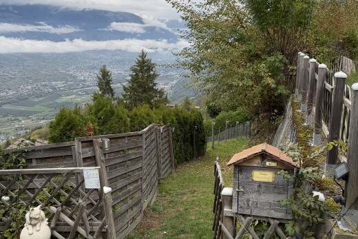garten mit zaun und from property