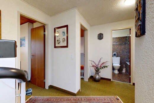 halle / korridor mit spritzputz decke, textured ceiling, teppich, carpet, und sockelleisten