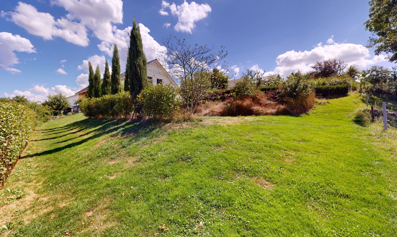 garden featuring a yard