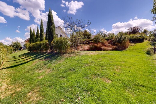 jardin avec pelouse et day time