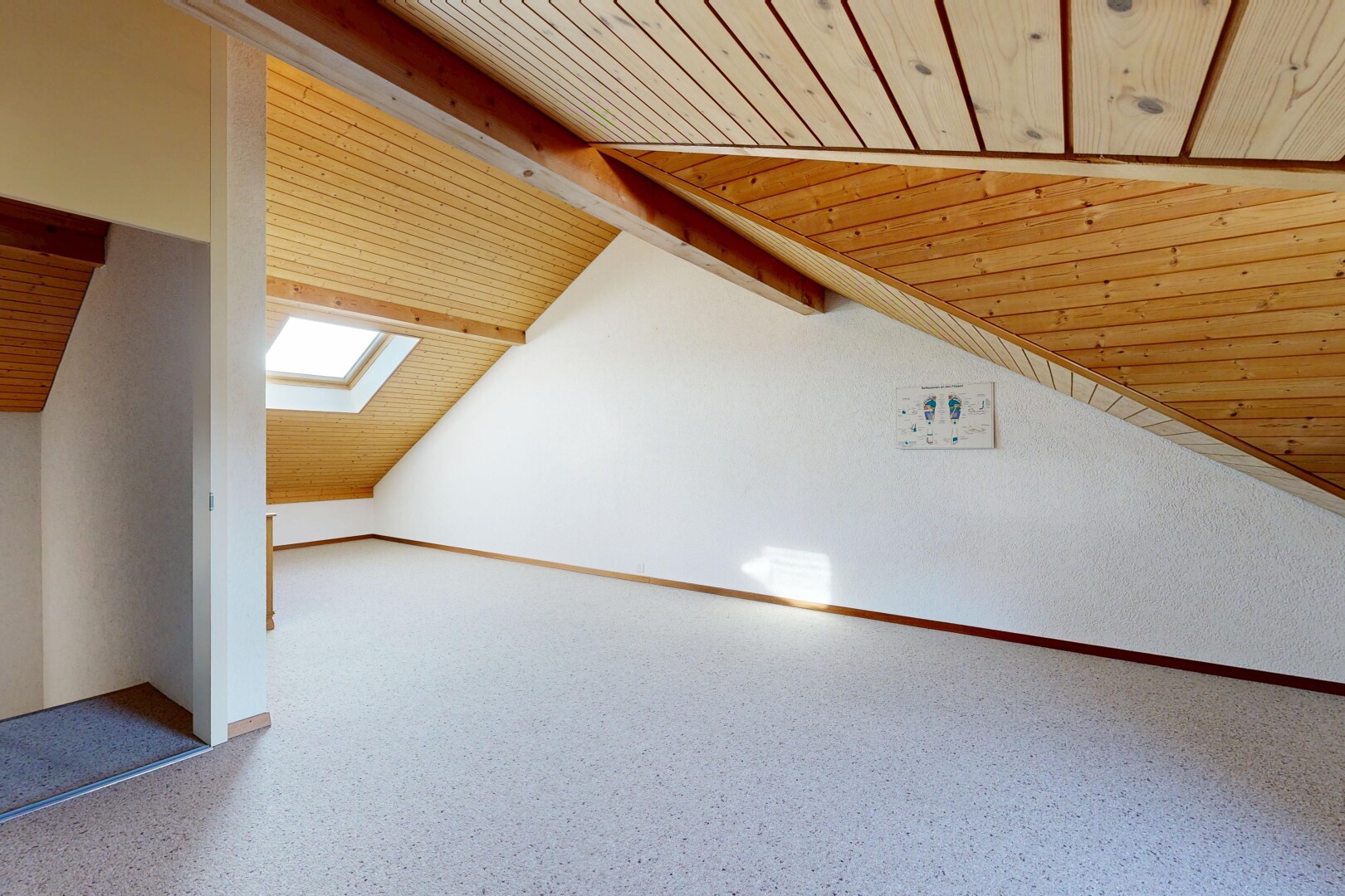 pièce vide avec lumière naturelle, natural light, plafond en bois, wood ceiling, et puits de lumière