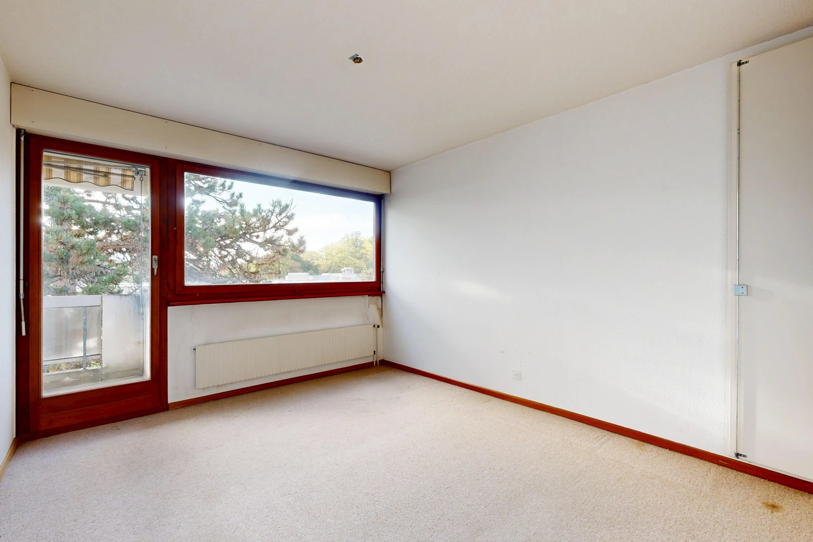 unfurnished room featuring access to exterior, light colored carpet, and radiator