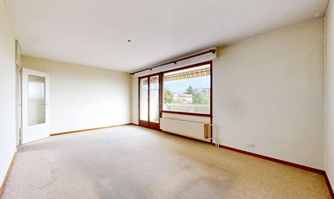 empty room with radiator, access to outside, and light colored carpet