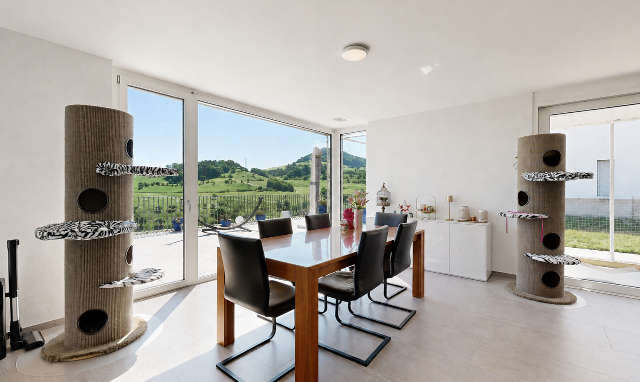 esszimmer mit floor ceiling windows, drywall, gipskartonwand, inside property, und light floor