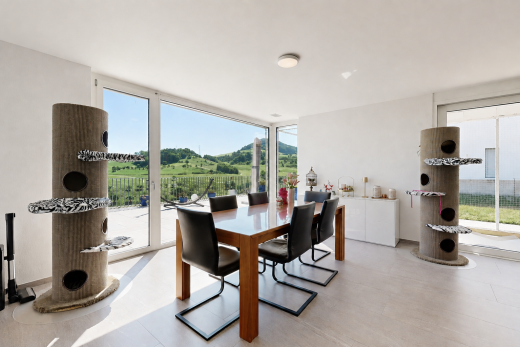 esszimmer mit floor ceiling windows, drywall, gipskartonwand, inside property, und light floor